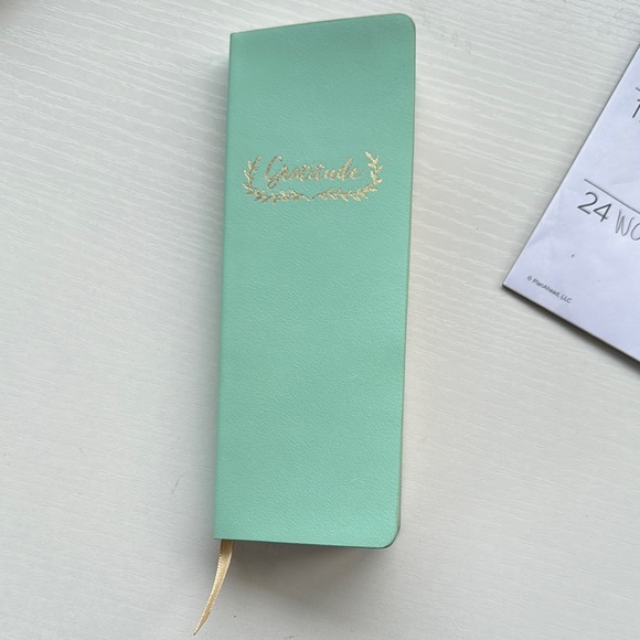 Mint Green Gratitude Journal - Picture 1 of 4